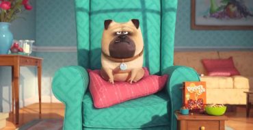 la vida secreta de tus mascotas
