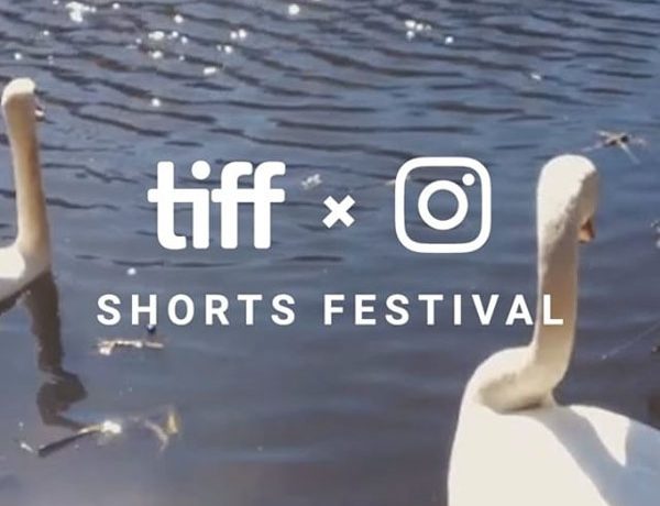 toronto international film festival instagram