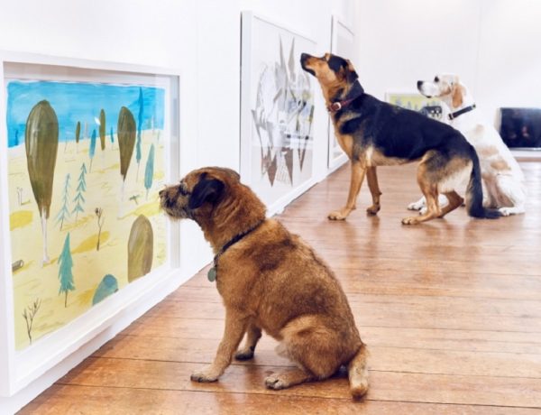 Play More Dominic Wilcox muestra arte para perros