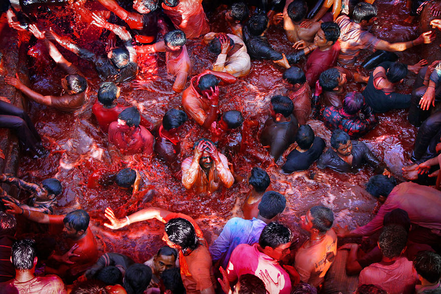 15 Hindúes sumergiéndose en un estanque lleno de agua coloreada durante Holi en Nasik, India