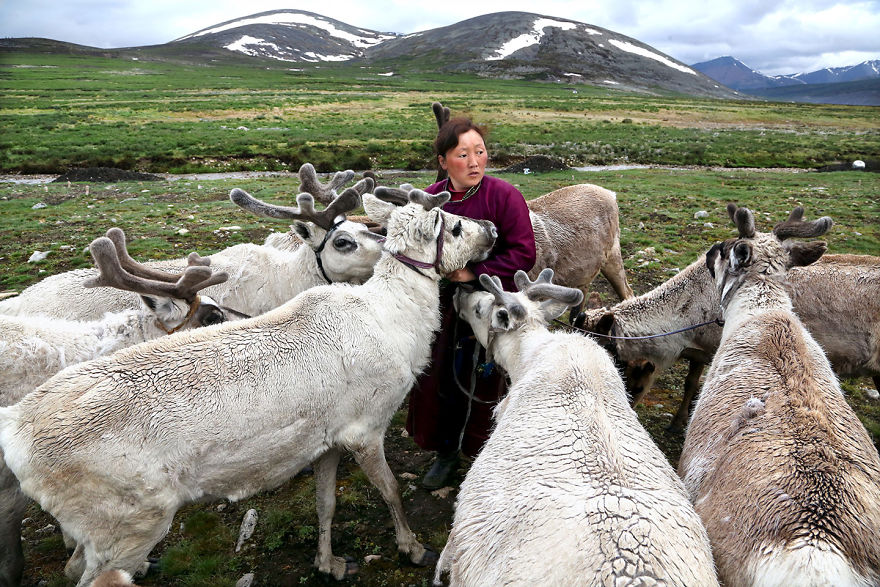 8 Nómadas Tsaatan en Mongolia