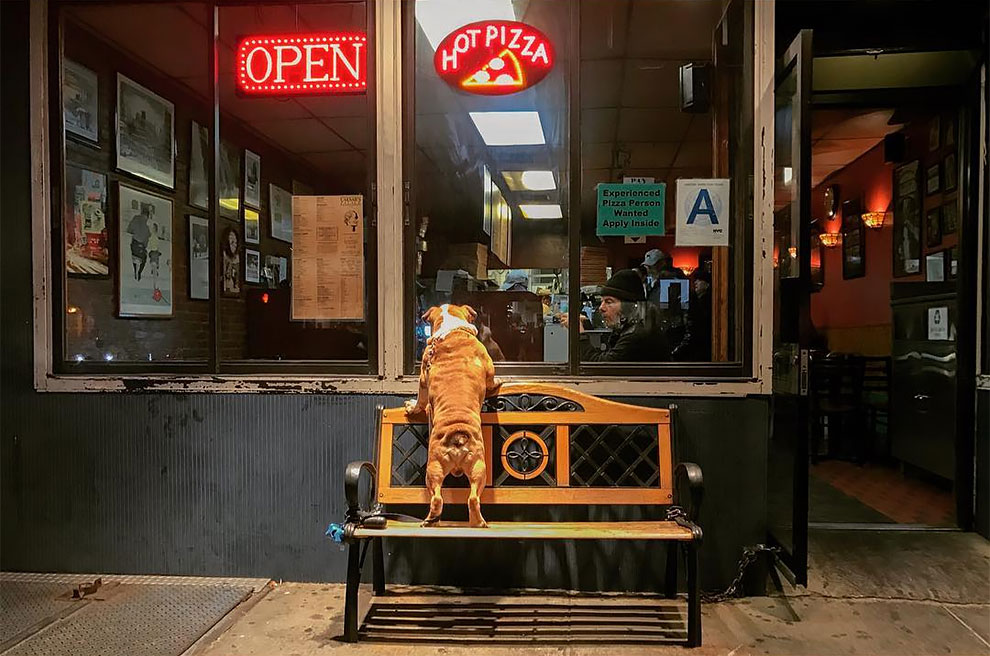 Jonathan Higbee Un mundo de coincidencia en las calles de Nueva York