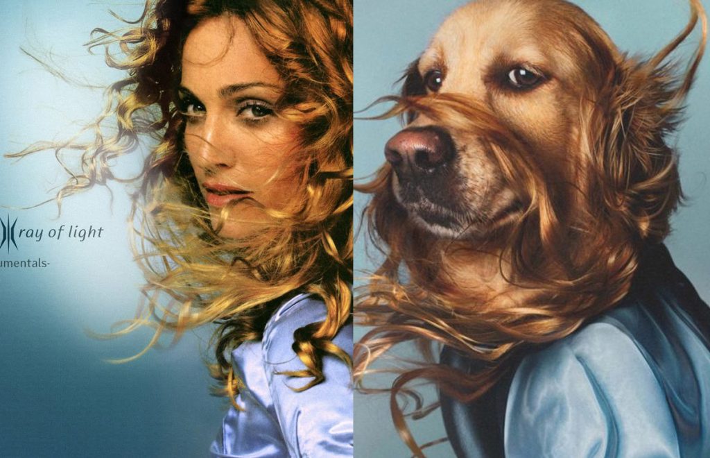 Madonna-Ray-Of-Light-Dog