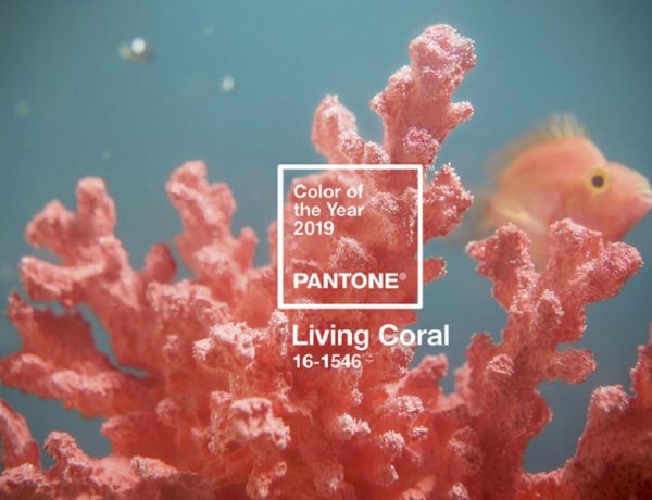 ‘Living Coral’ es el color de 2019, según Pantone
