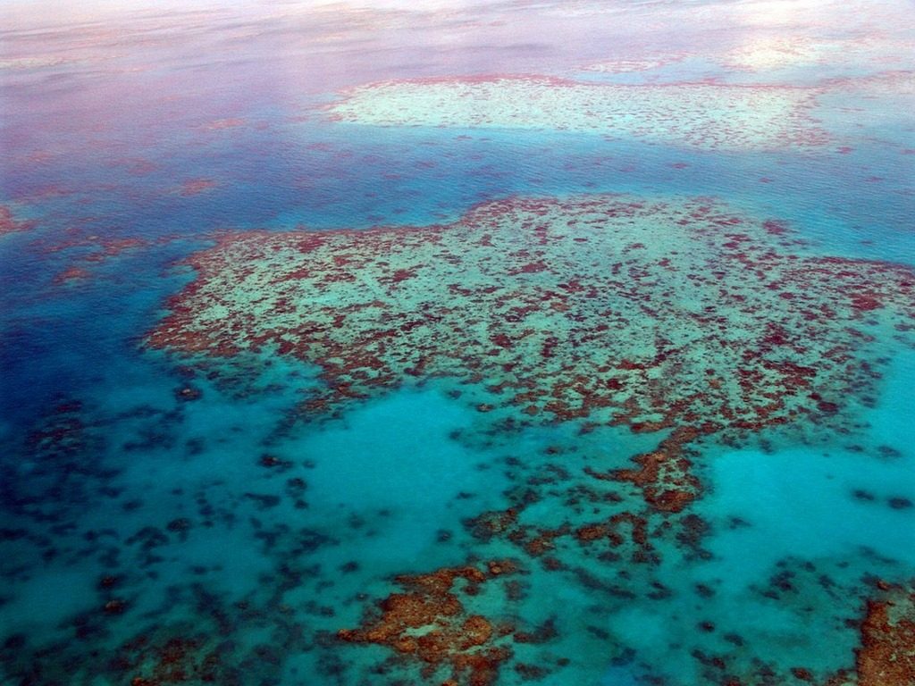 Gran Barrera de Coral Foto Pixabay Dominio Público