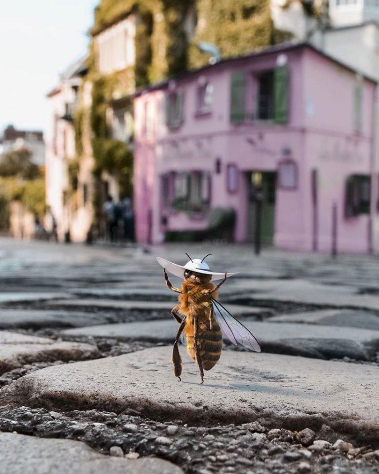 La primera “abeja influencer” que concientiza sobre el peligro de su especie (3)
