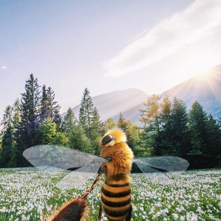 La primera “abeja influencer” que concientiza sobre el peligro de su especie (7)