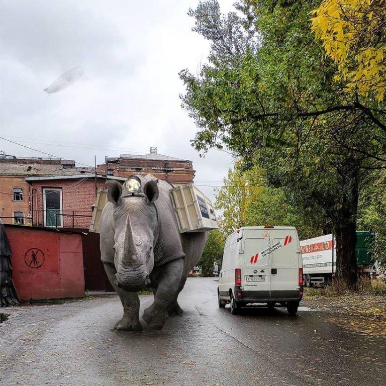 Animales gigantes invaden las calles en estas imágenes de Vadim Solovyov (5)