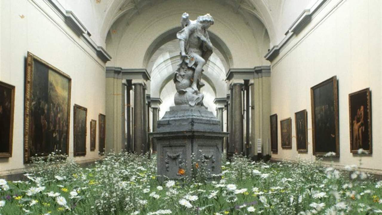 El regreso de la naturaleza, videos Timo Helgert vacades loqueva