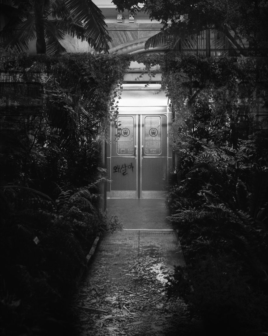 Giovanni Garrone Beyond (Más allá) cuarentena naturaleza (1)