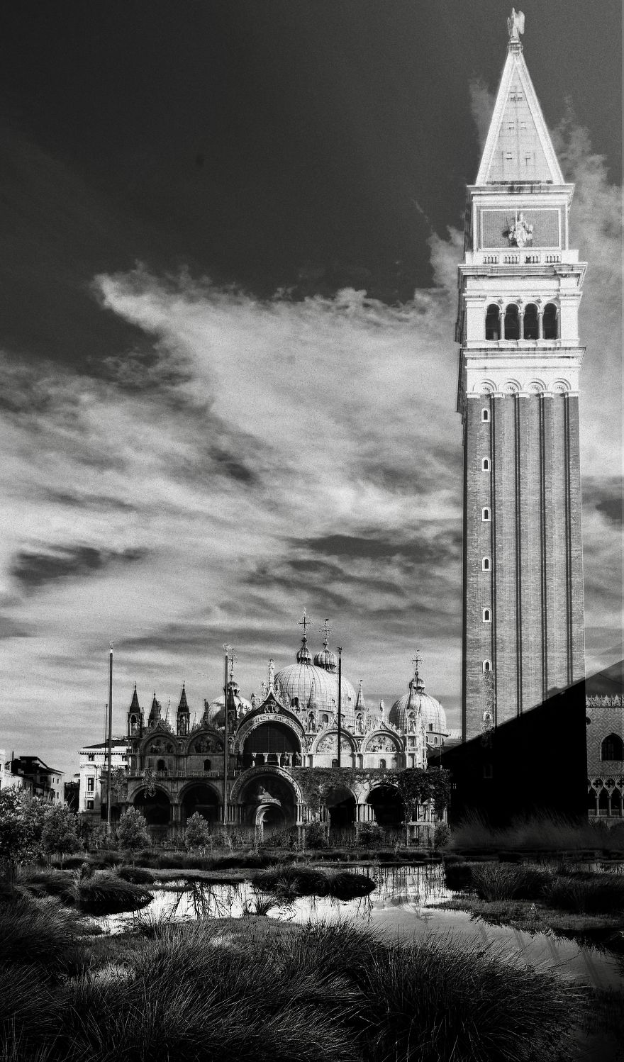 Giovanni Garrone Beyond (Más allá) cuarentena naturaleza (3)