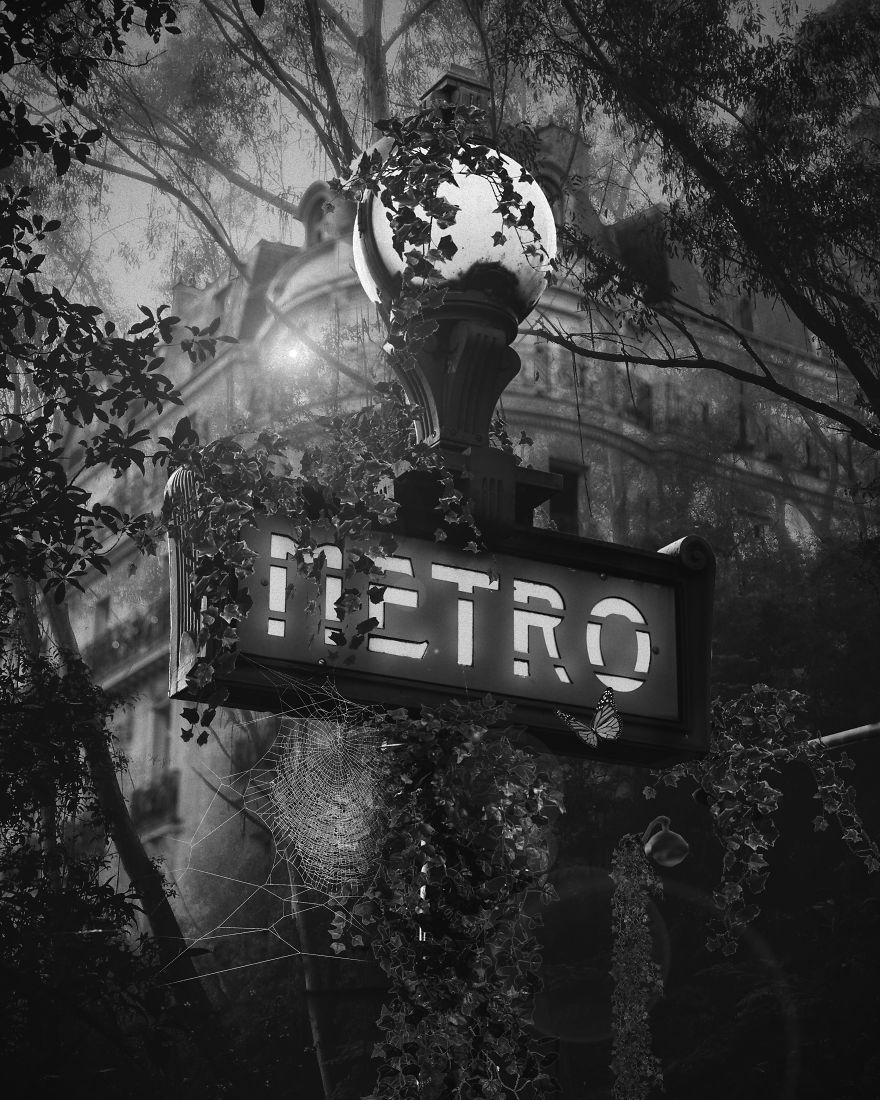 Giovanni Garrone Beyond (Más allá) cuarentena naturaleza (7)