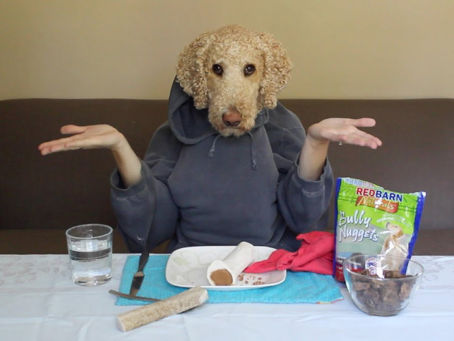 Perros con sus dueños aburridos en cuarentena human hands loqueva (14)