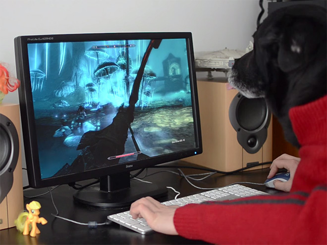 Perros con sus dueños aburridos en cuarentena human hands loqueva (16)