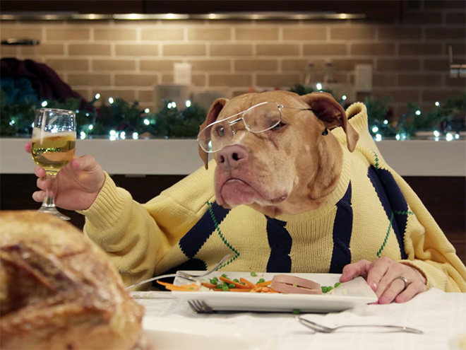 Perros con sus dueños aburridos en cuarentena human hands loqueva (6)