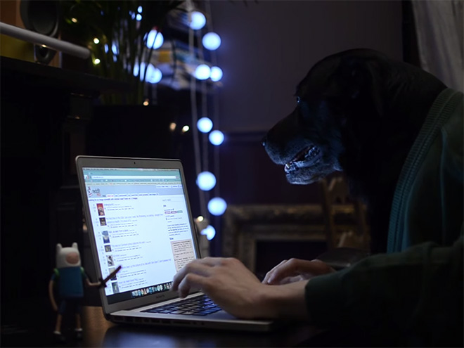 Perros con sus dueños aburridos en cuarentena human hands loqueva (7)