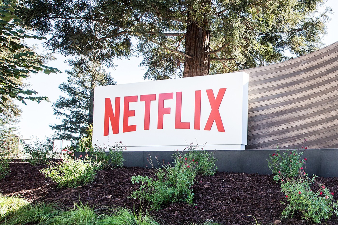Netflix donará 5 millones de dólares a creadores y comunidades negras