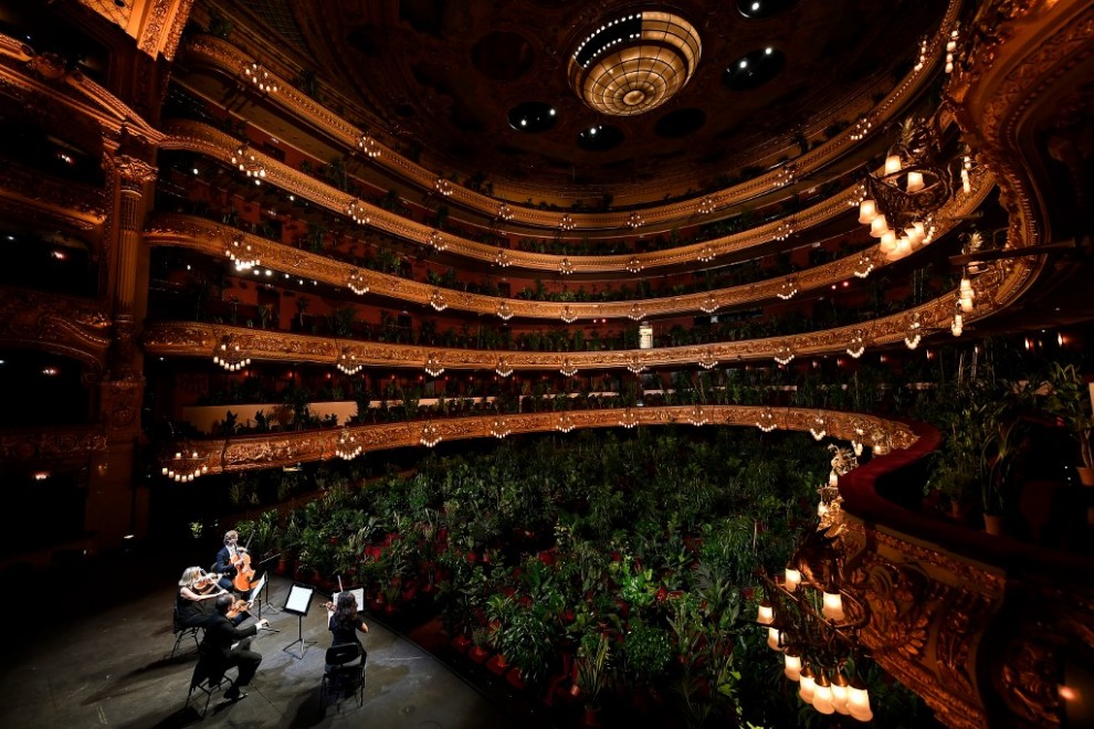 el Liceu de Barcelona reabre con un concierto para 2.292 plantas covid 19 (1)