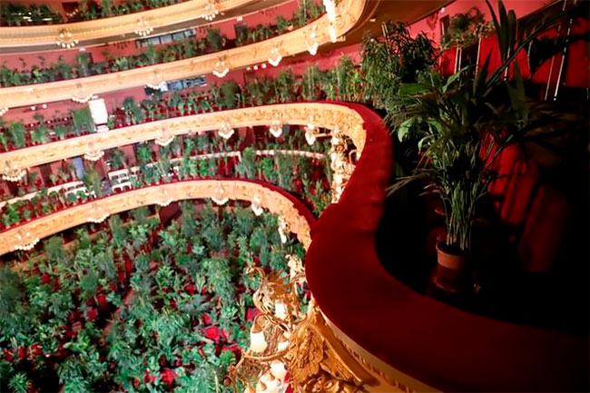 el Liceu de Barcelona reabre con un concierto para 2.292 plantas covid 19 (2)