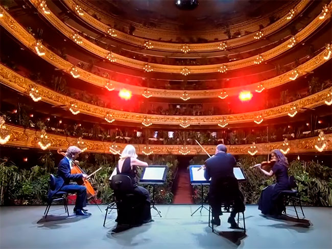 el Liceu de Barcelona reabre con un concierto para 2.292 plantas covid 19 (3)