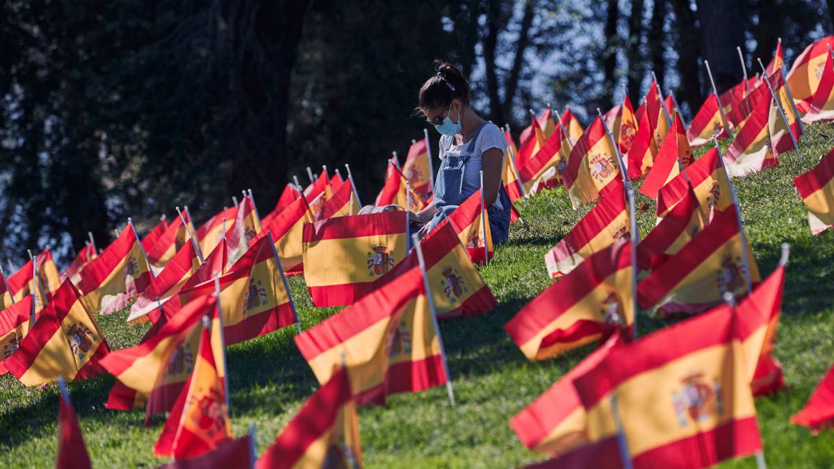 Colocan 53.000 banderas en Madrid en homenaje a las víctimas del Covid-19 (2)