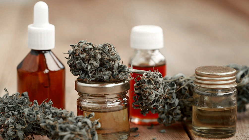 Cannabis el Gobierno legalizó el autocultivo para uso medicinal y la venta de aceites en farmacias (1)