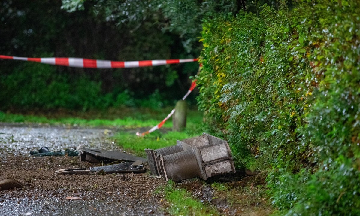 Una escultura de una ballena evitó que un tren caiga al vacío en Rotterdam loqueva (11)